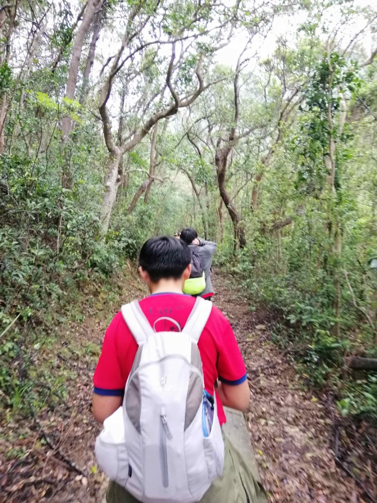 13-year olds lead younger Scouts on 20K expedition across HK Island ...